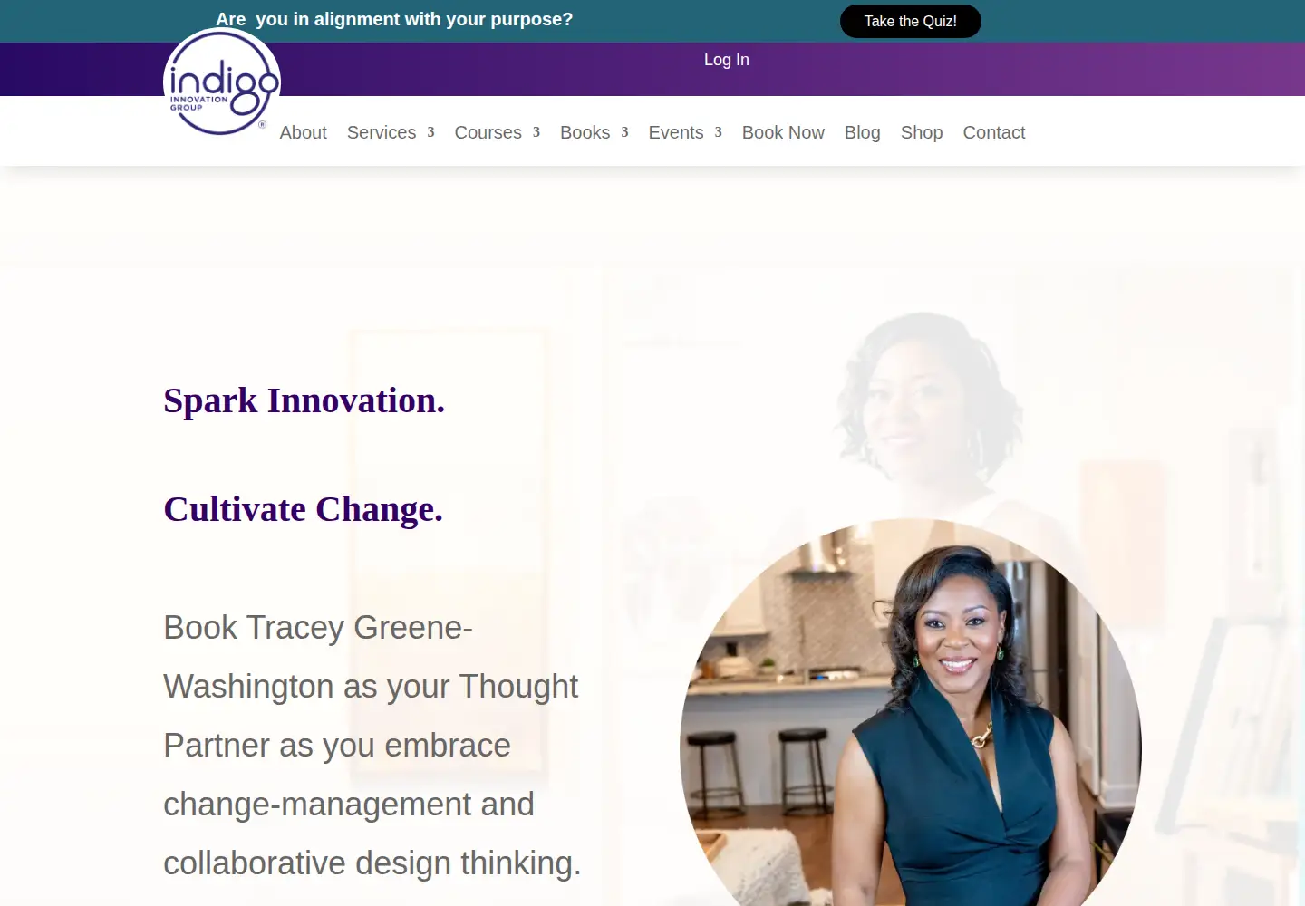 Screenshot of indigoinnovationgroup.com