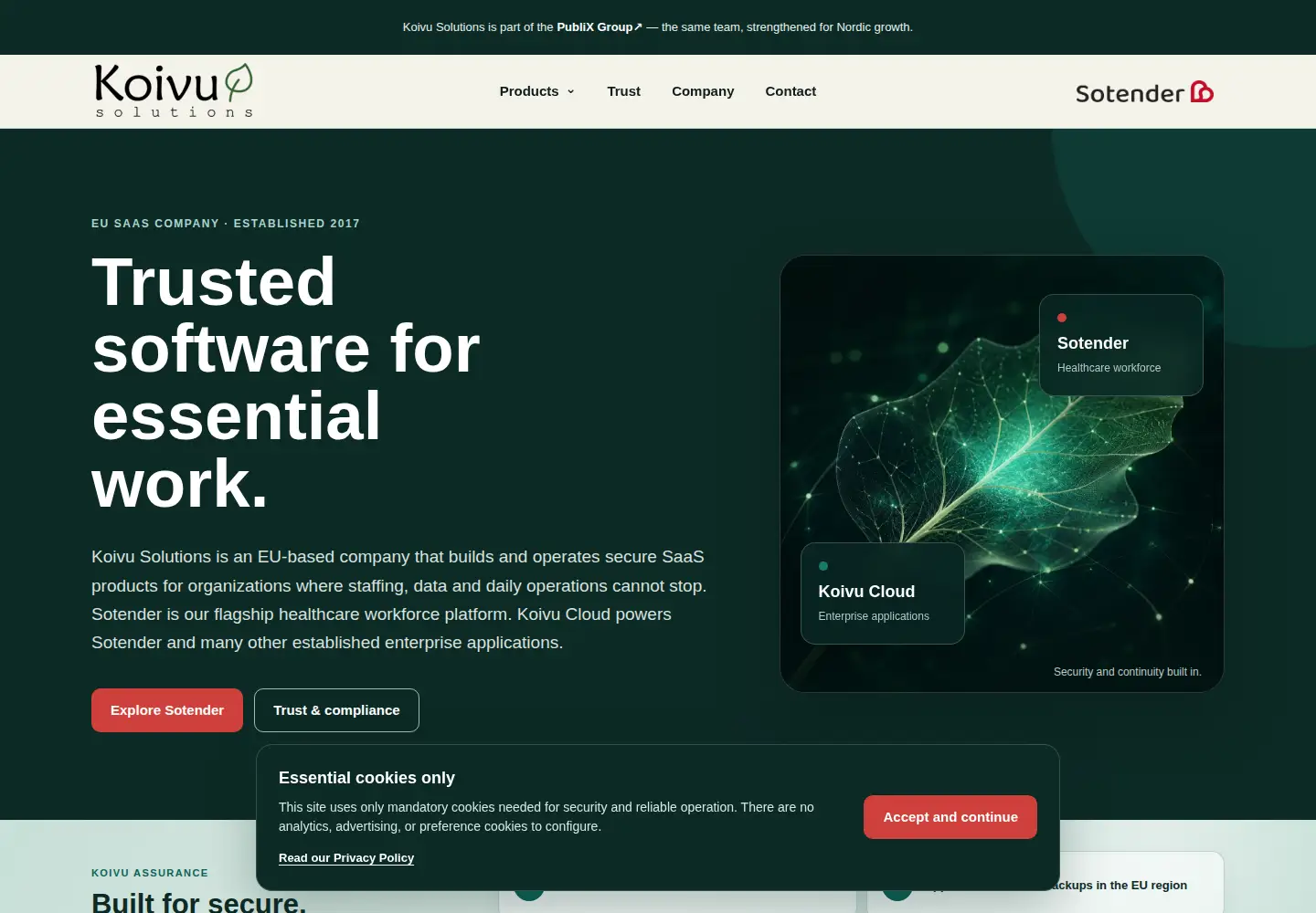 Captured homepage of koivusolutions.com in the current scan
