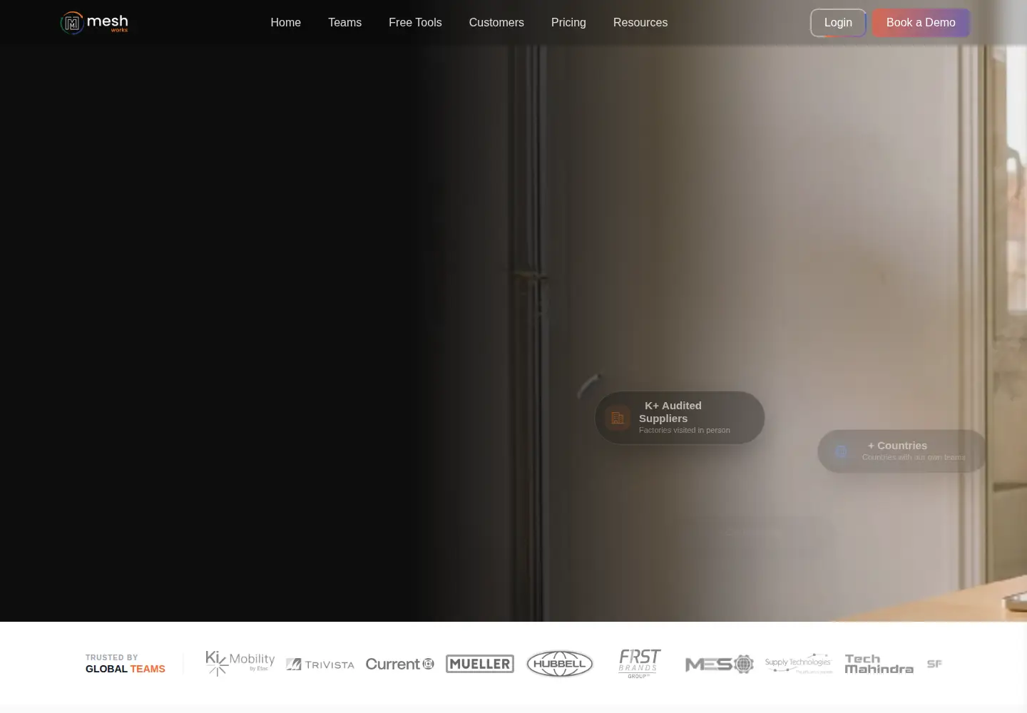 Screenshot of meshworks.com