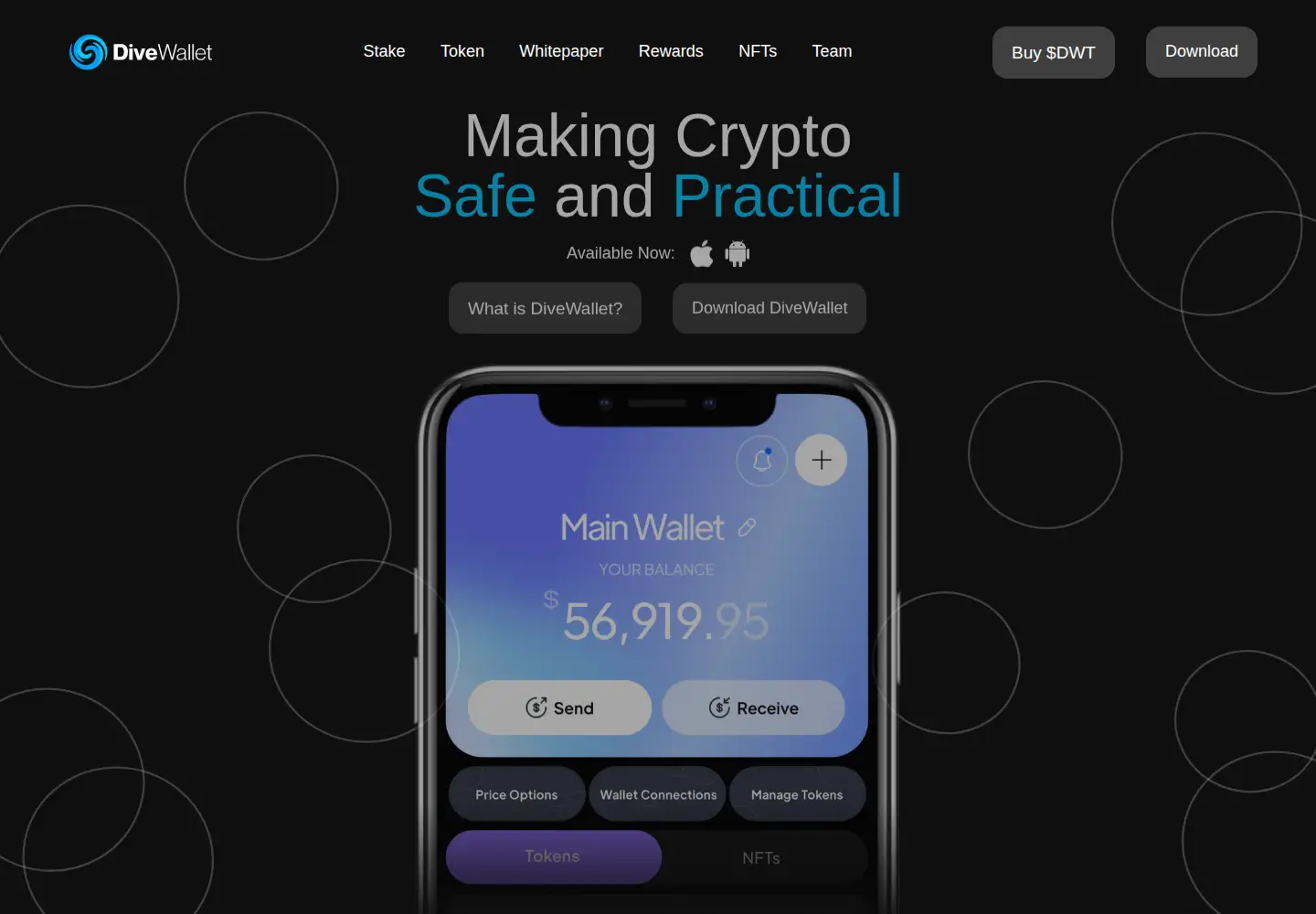 Screenshot of divewallet.net