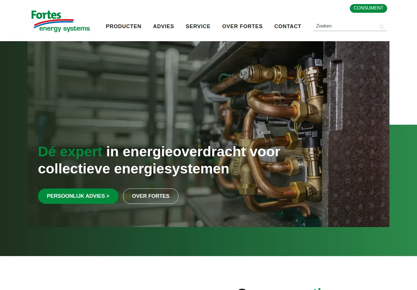 Screenshot of fortes-es.nl