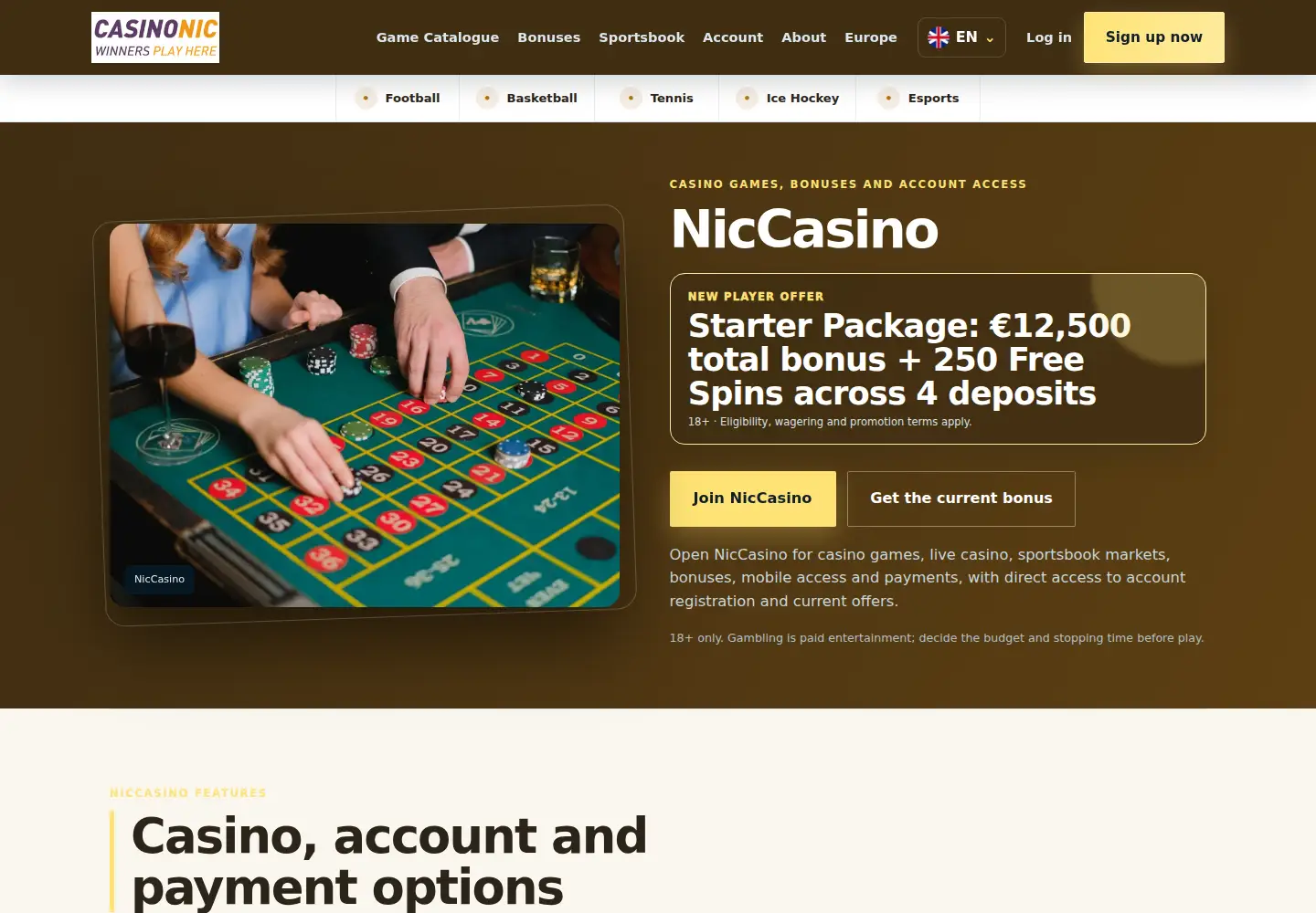 Screenshot of niccasino.eu