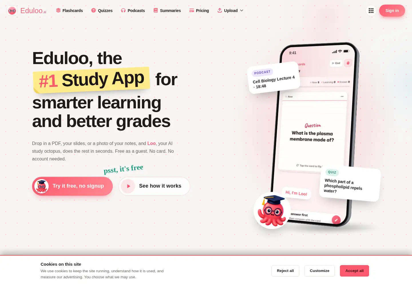 Captured homepage of eduloo.ai in the current scan