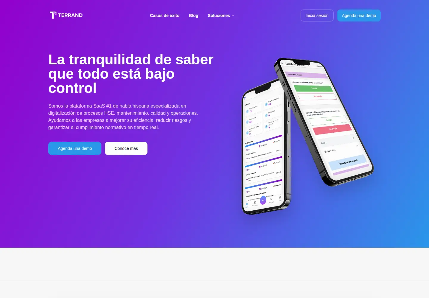 Screenshot of terrand.app
