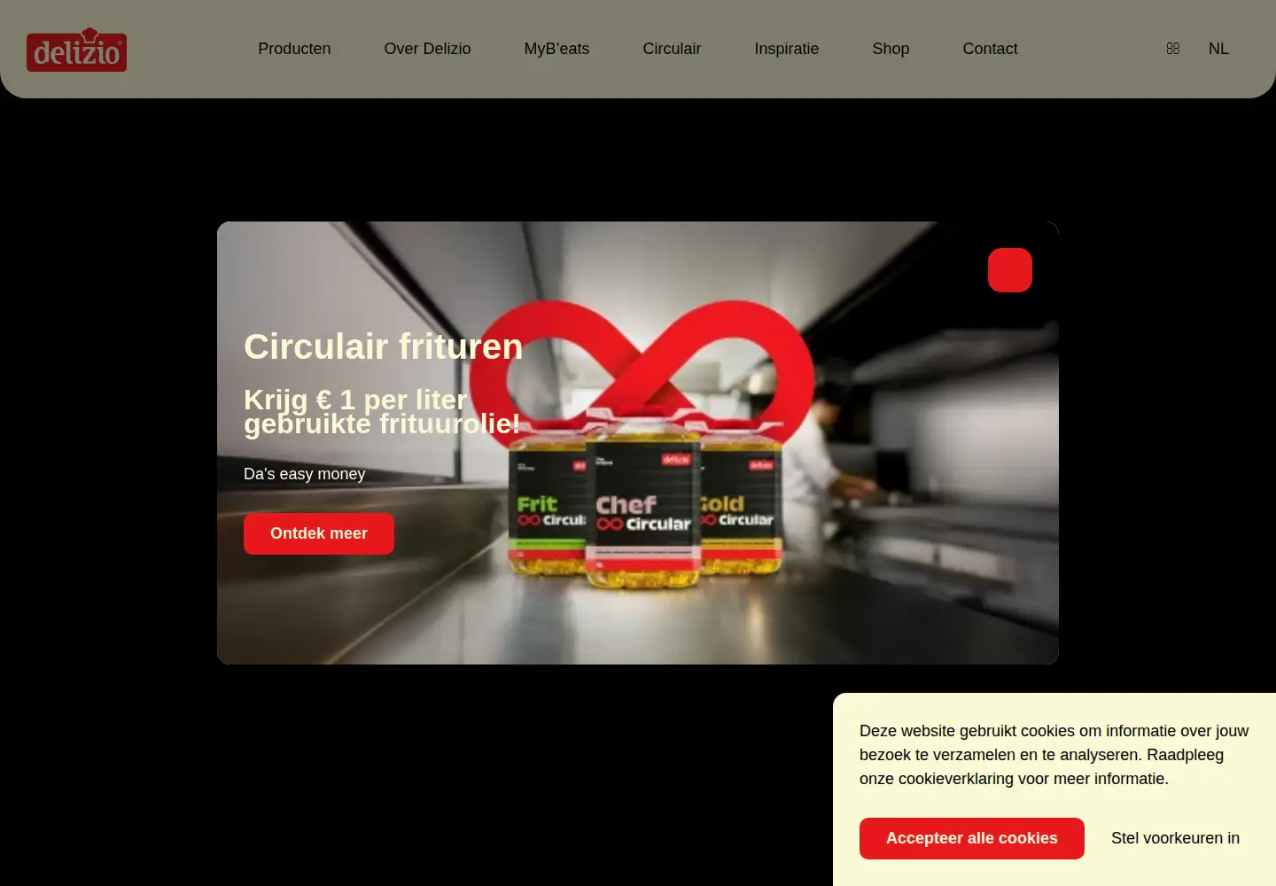 Captured homepage of delizio.be in the current scan