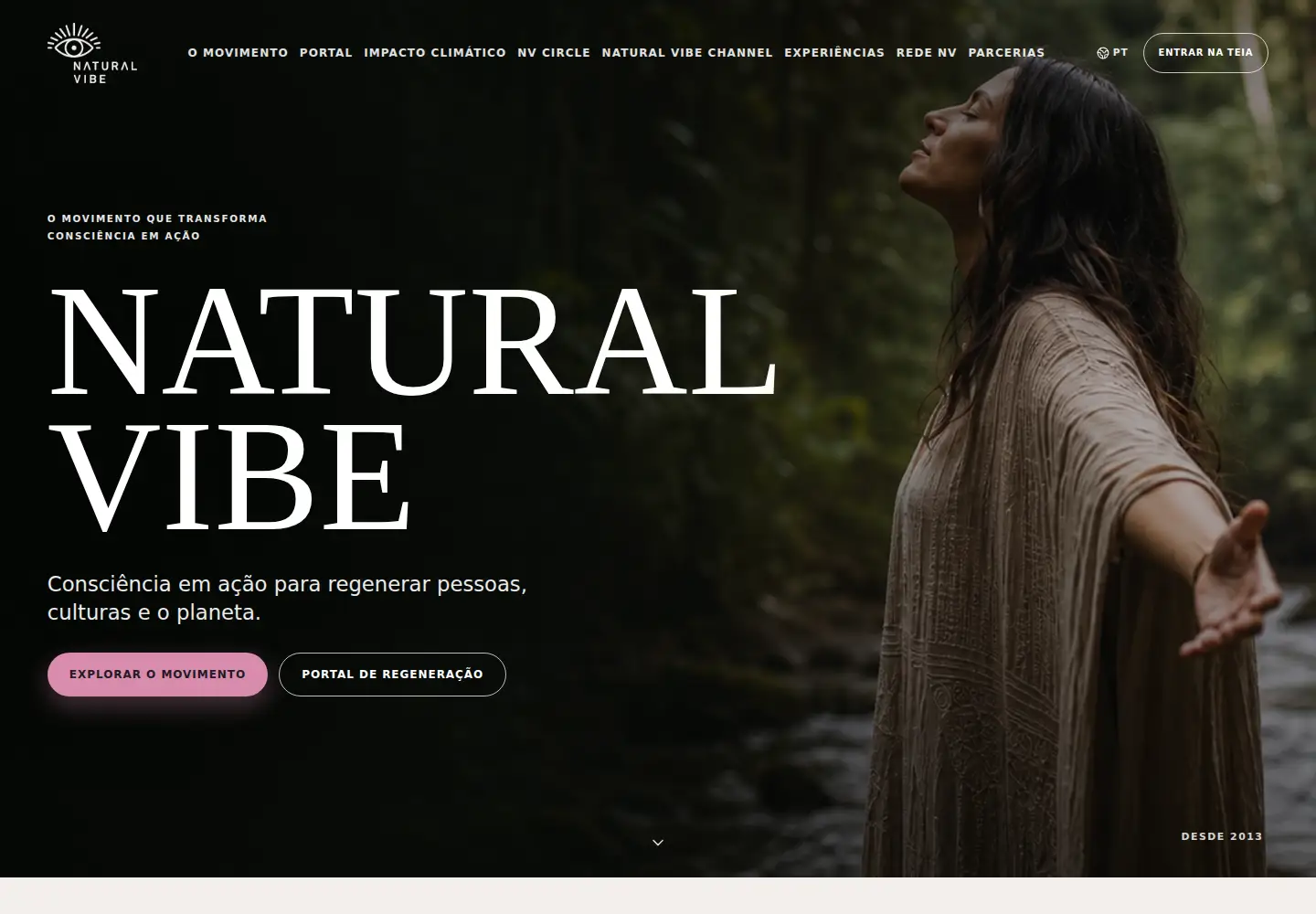 Screenshot of naturalvibe.com.br
