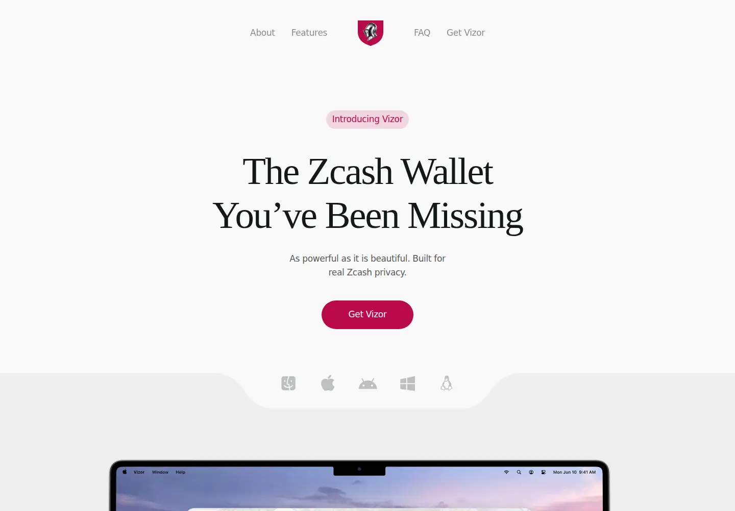 Screenshot of vizor.cash