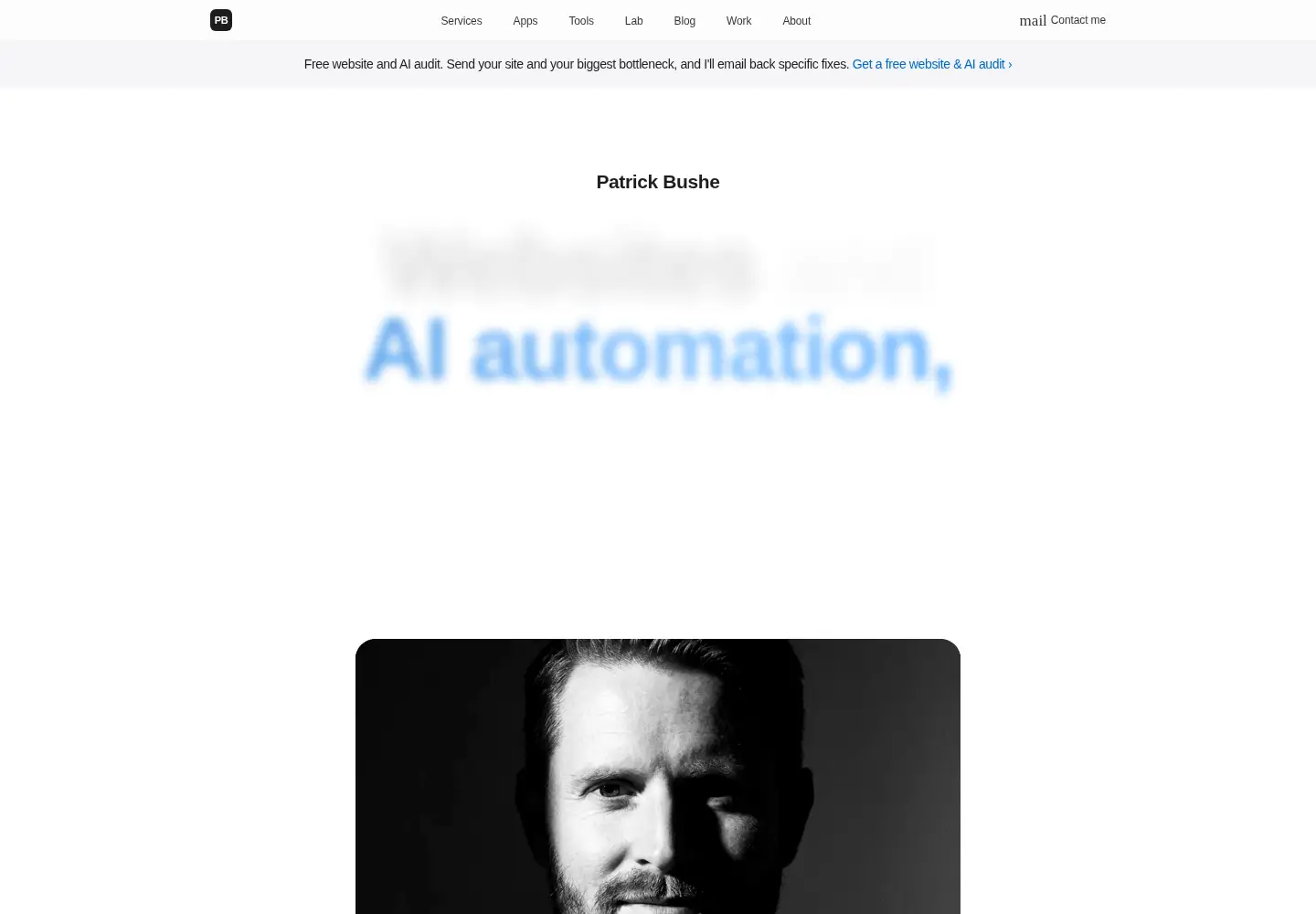 Captured homepage of bushe.co in the current scan