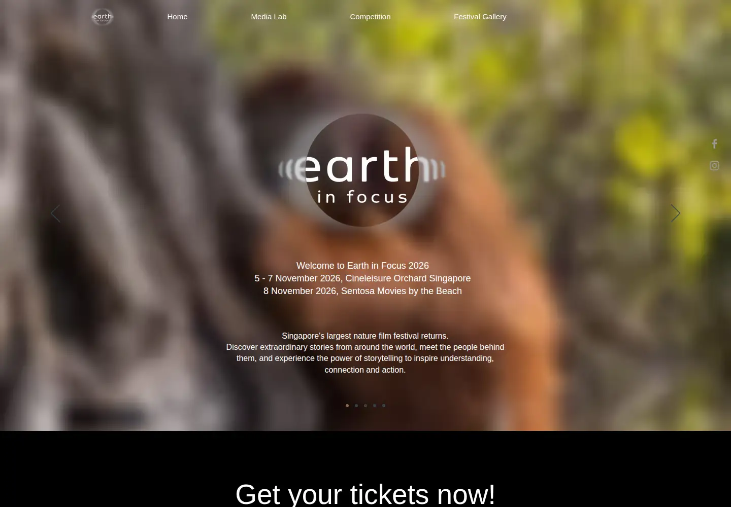 Captured homepage of earthinfocus.co in the current scan
