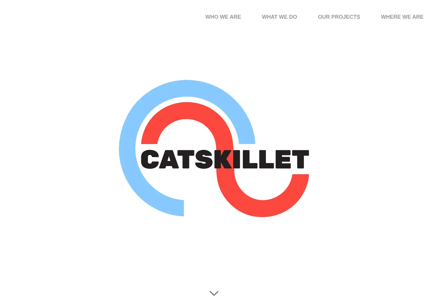Screenshot of catskillet.com
