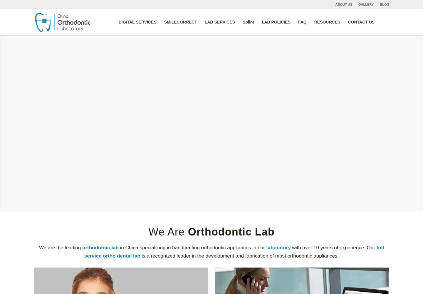 Screenshot of china-ortholab.com