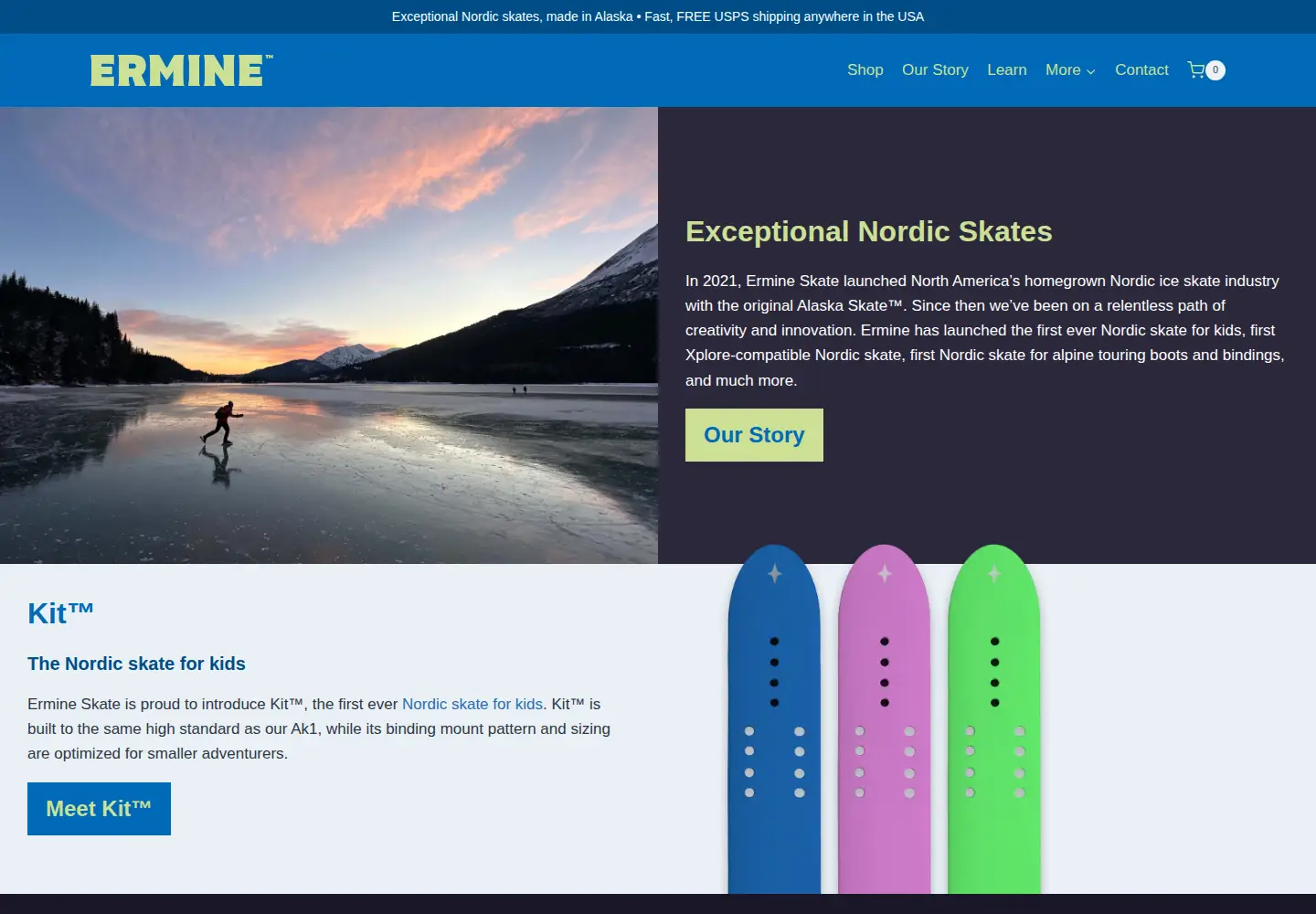 Captured homepage of ermineskate.com in the current scan
