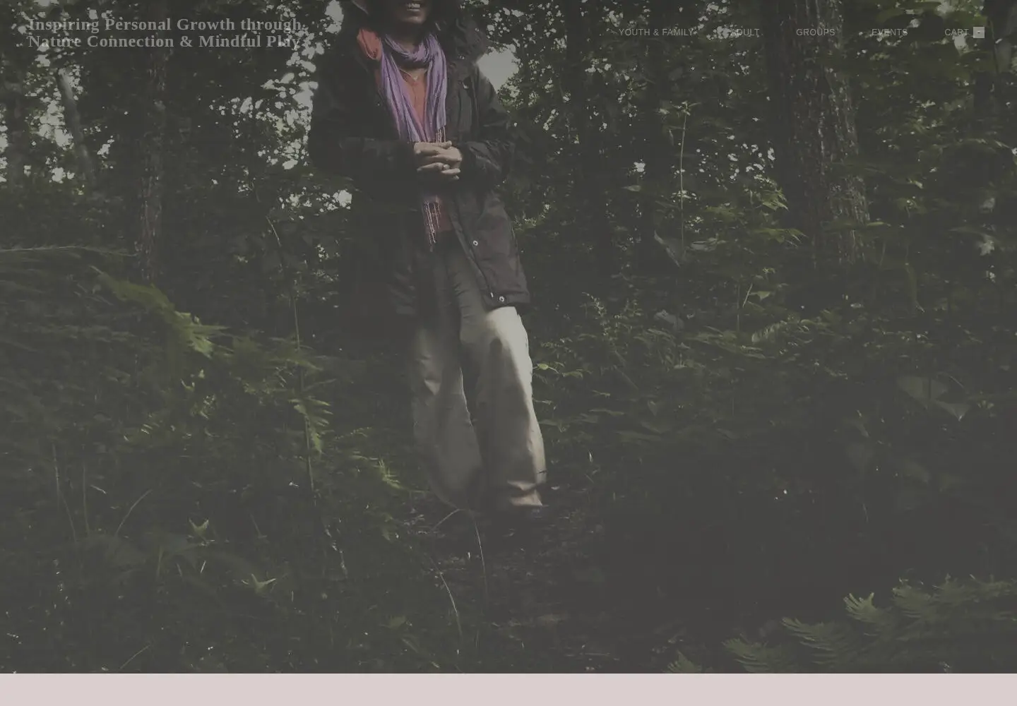 Screenshot of hikeandheal.com