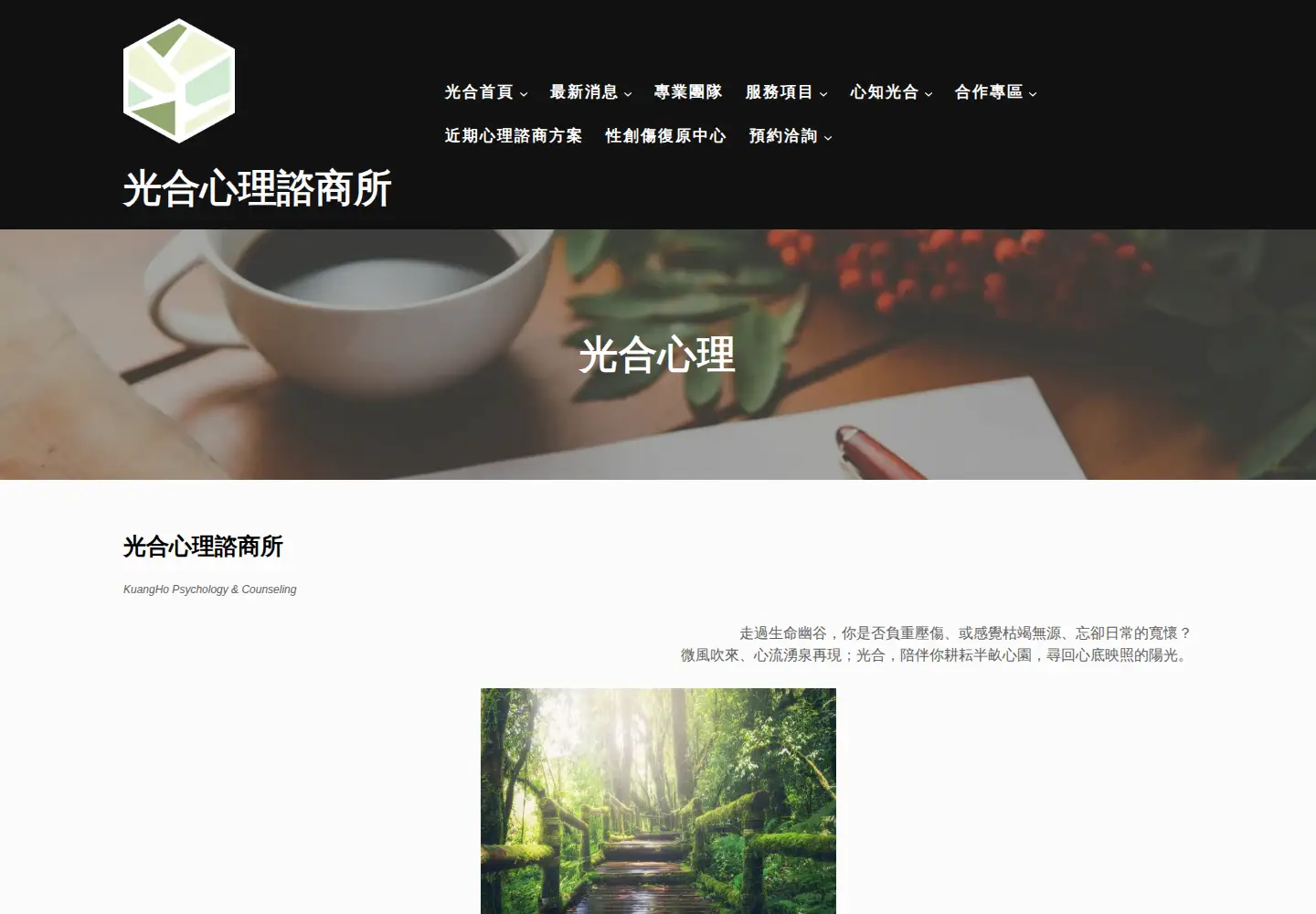 Captured homepage of khpsy.com in the current scan