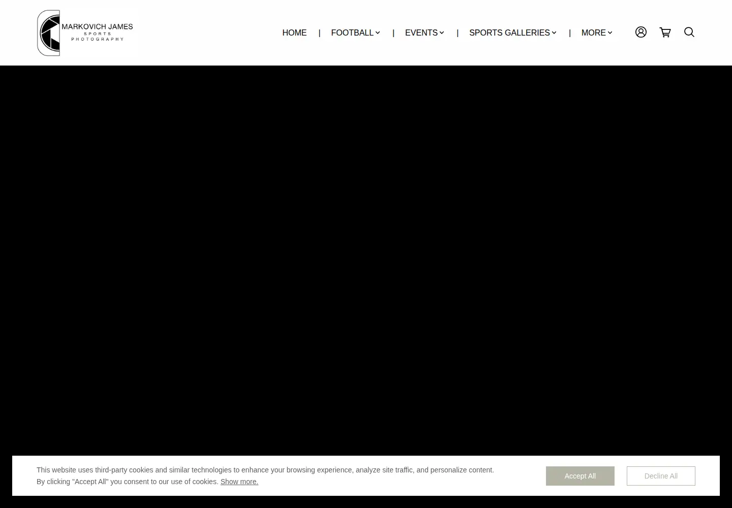 Captured homepage of markovichjames.com in the current scan