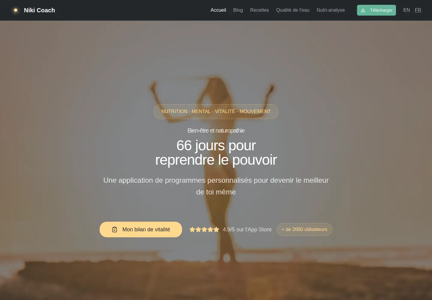 Screenshot of niki-coach.com