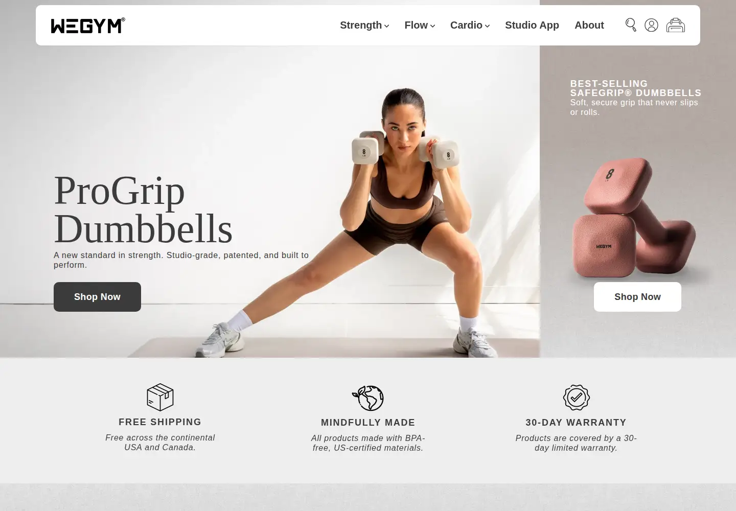 Captured homepage of wegymsports.com in the current scan