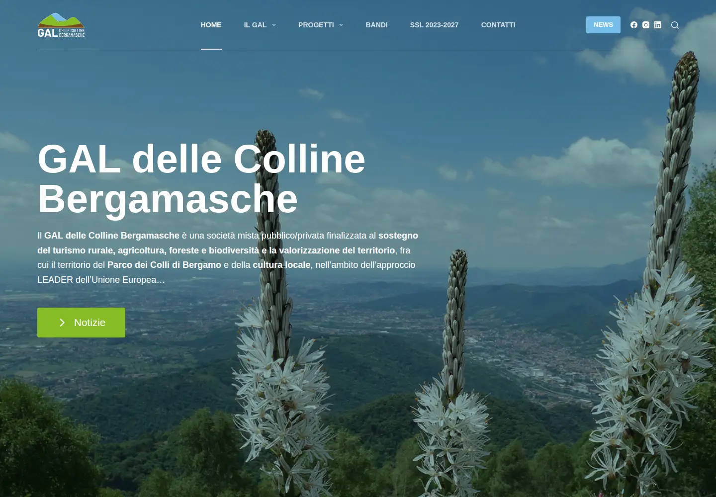 Captured homepage of galcollinebergamasche.it in the current scan