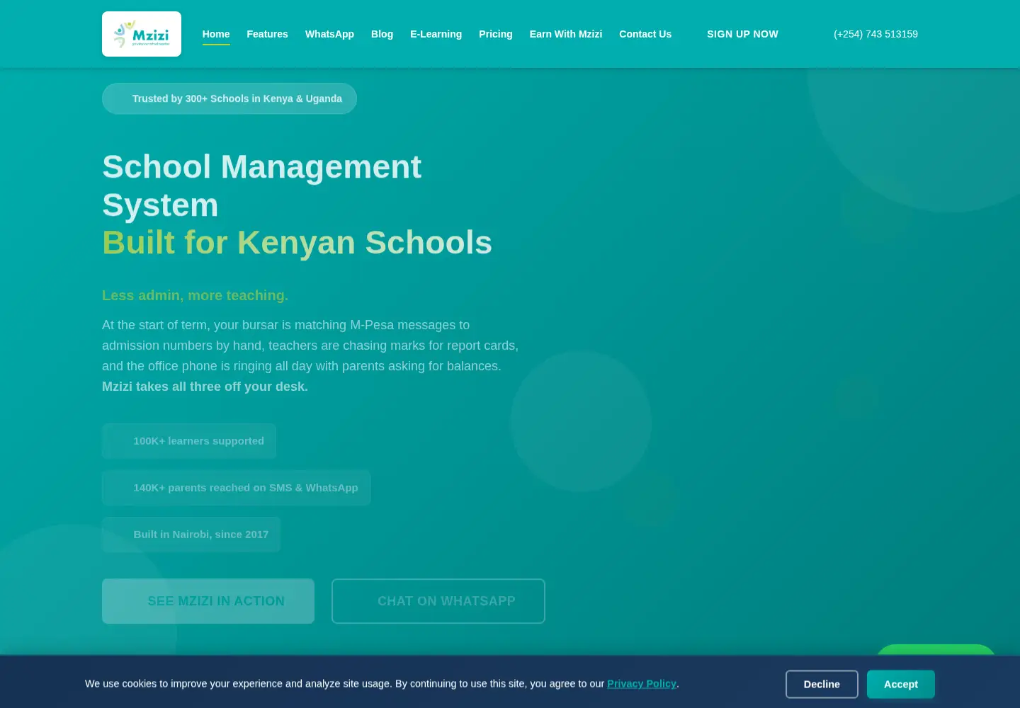 Screenshot of mzizi.co.ke