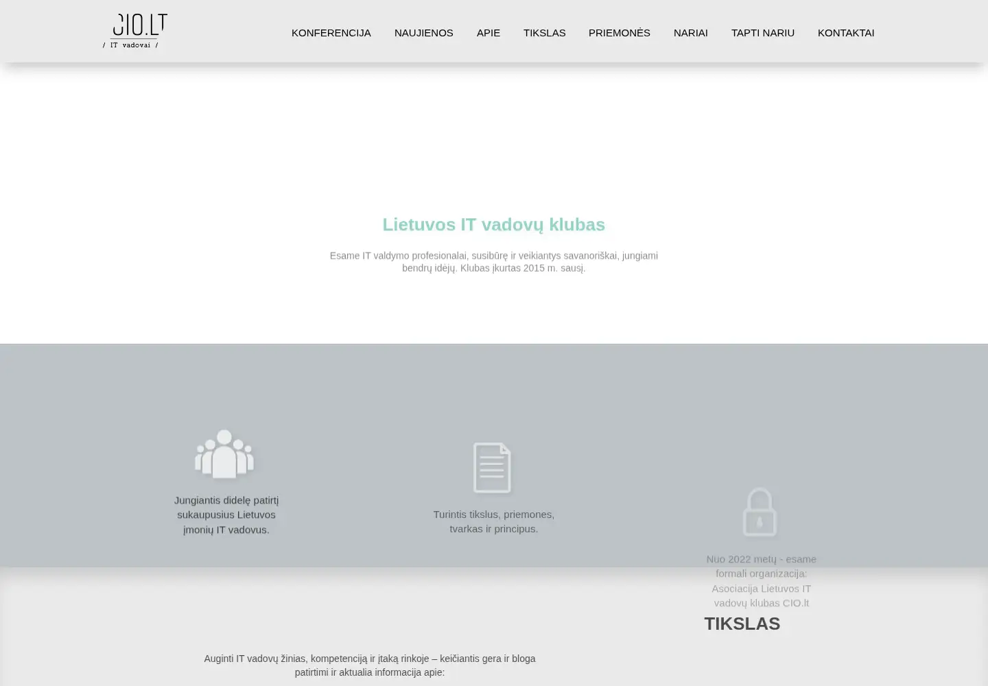Screenshot of cio.lt