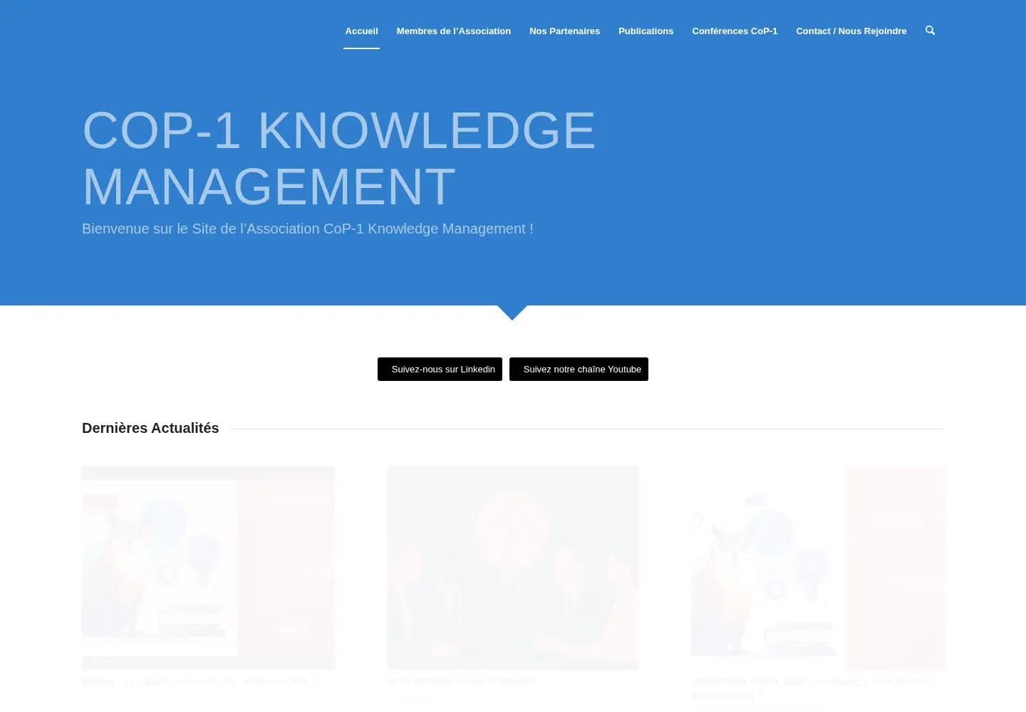 Screenshot of cop-1.net