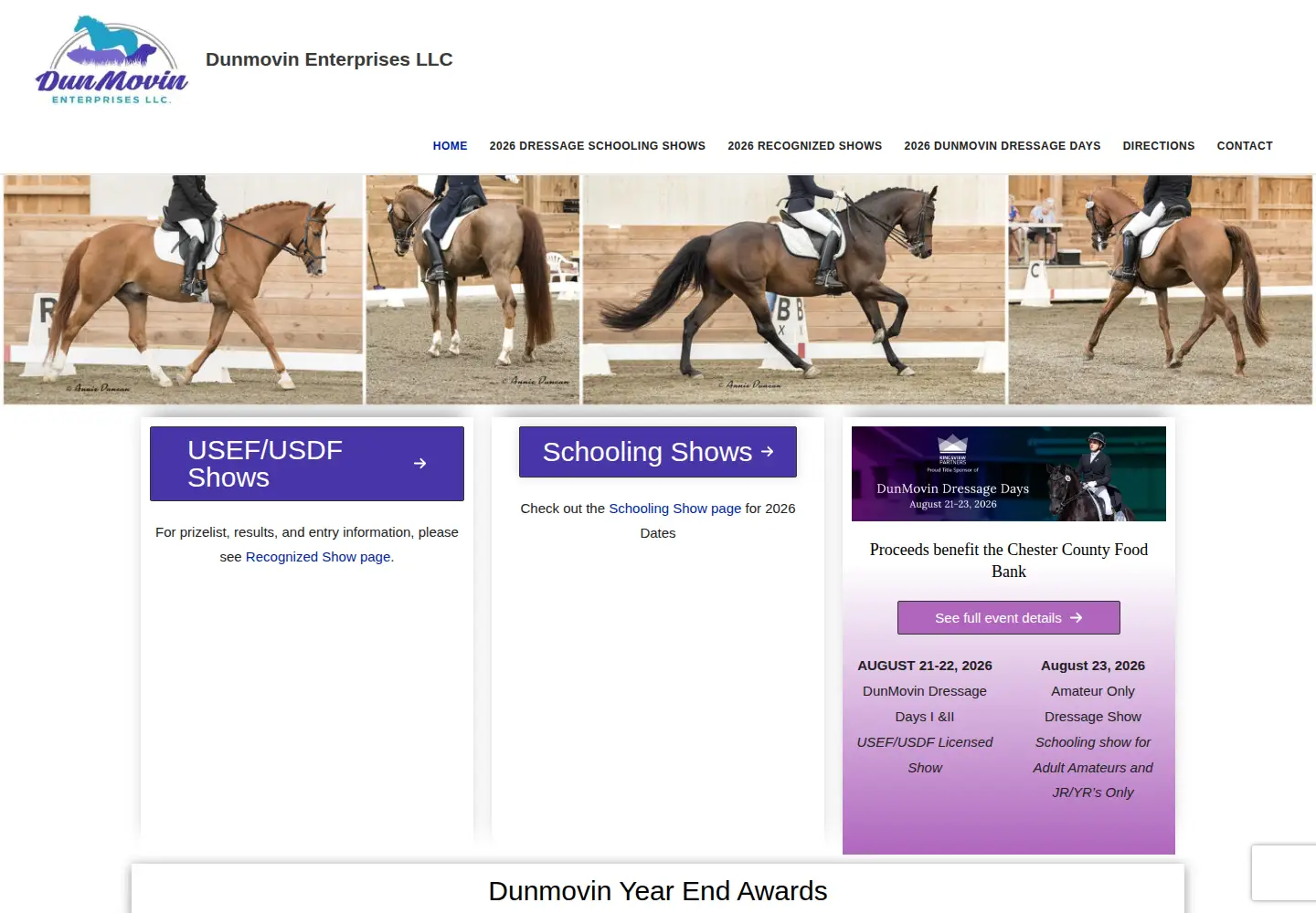 Screenshot of dunmovin.net