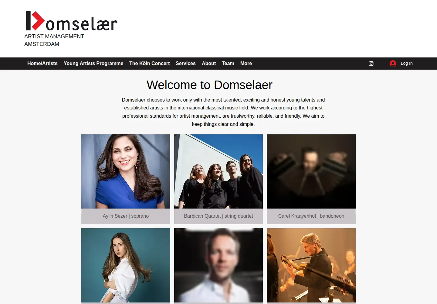 Screenshot of domselaer.nl