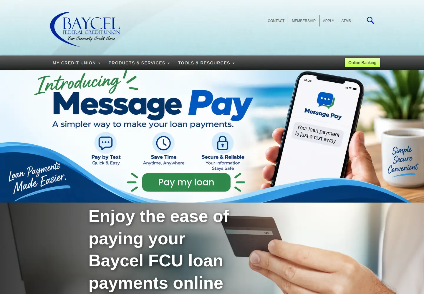 Screenshot of baycel.org