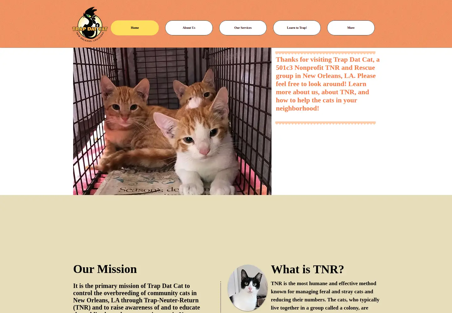 Captured homepage of trapdatcat.org in the current scan