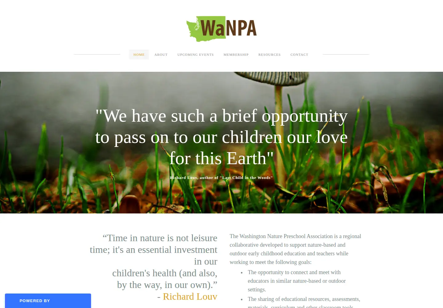 Captured homepage of wanpa.org in the current scan