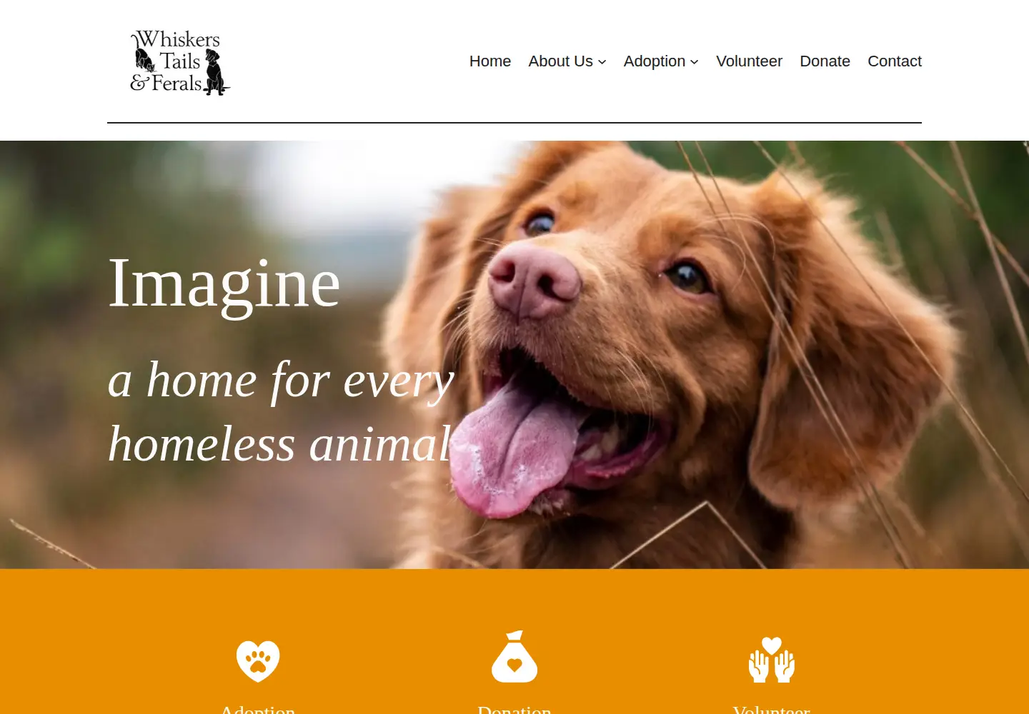 Screenshot of whiskerstailsandferals.org