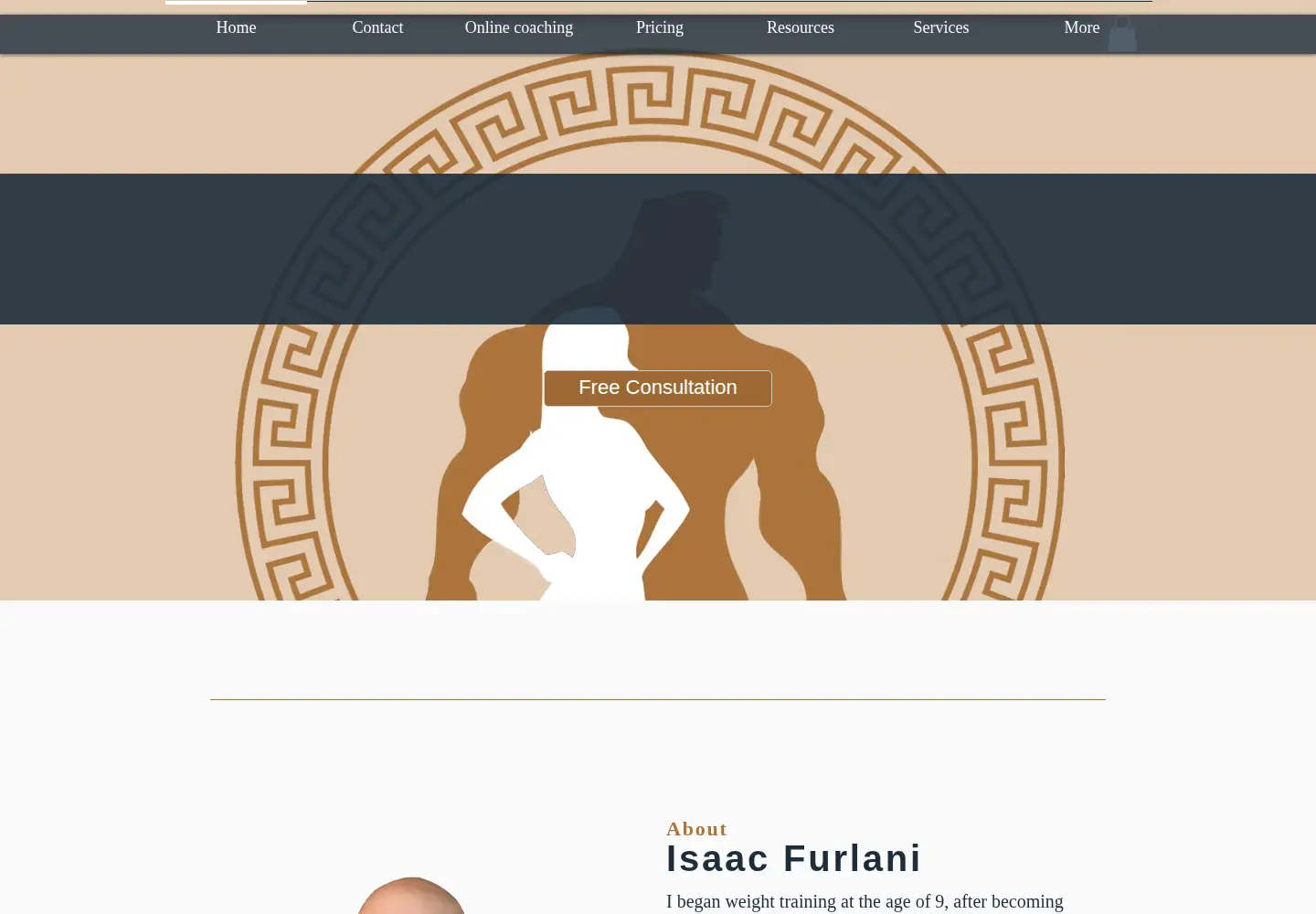 Captured homepage of furlanifitness.com.au in the current scan