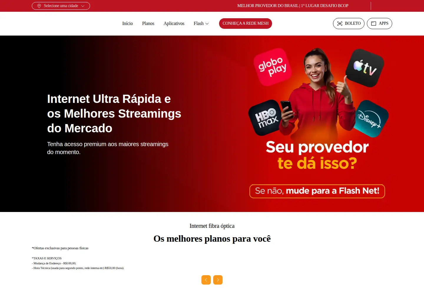 Captured homepage of flashnetbrasil.com.br in the current scan