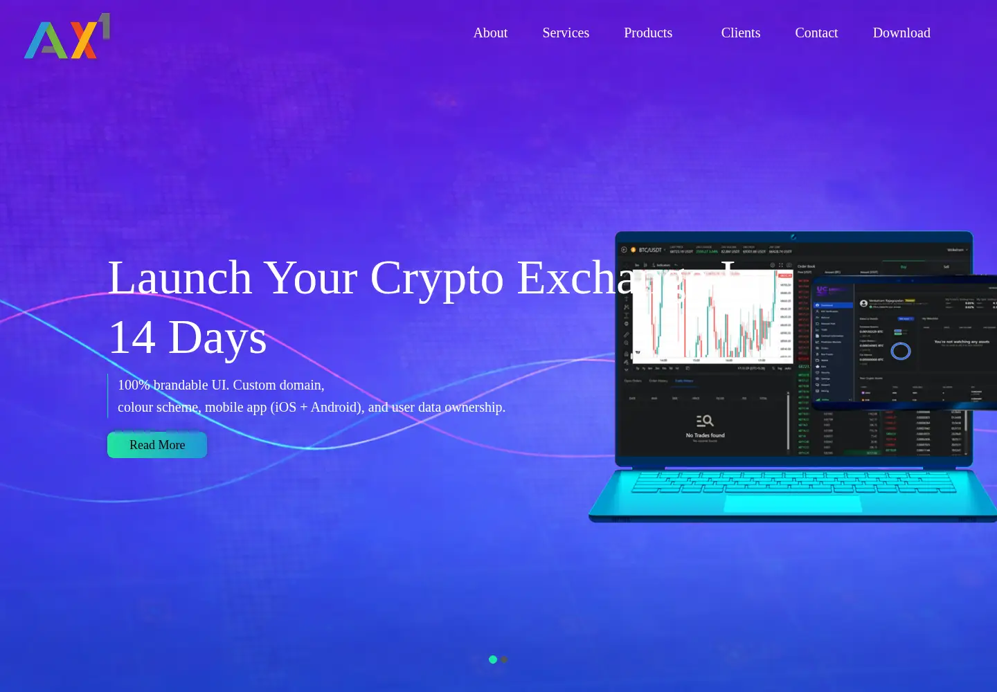 Captured homepage of ax1systems.com in the current scan