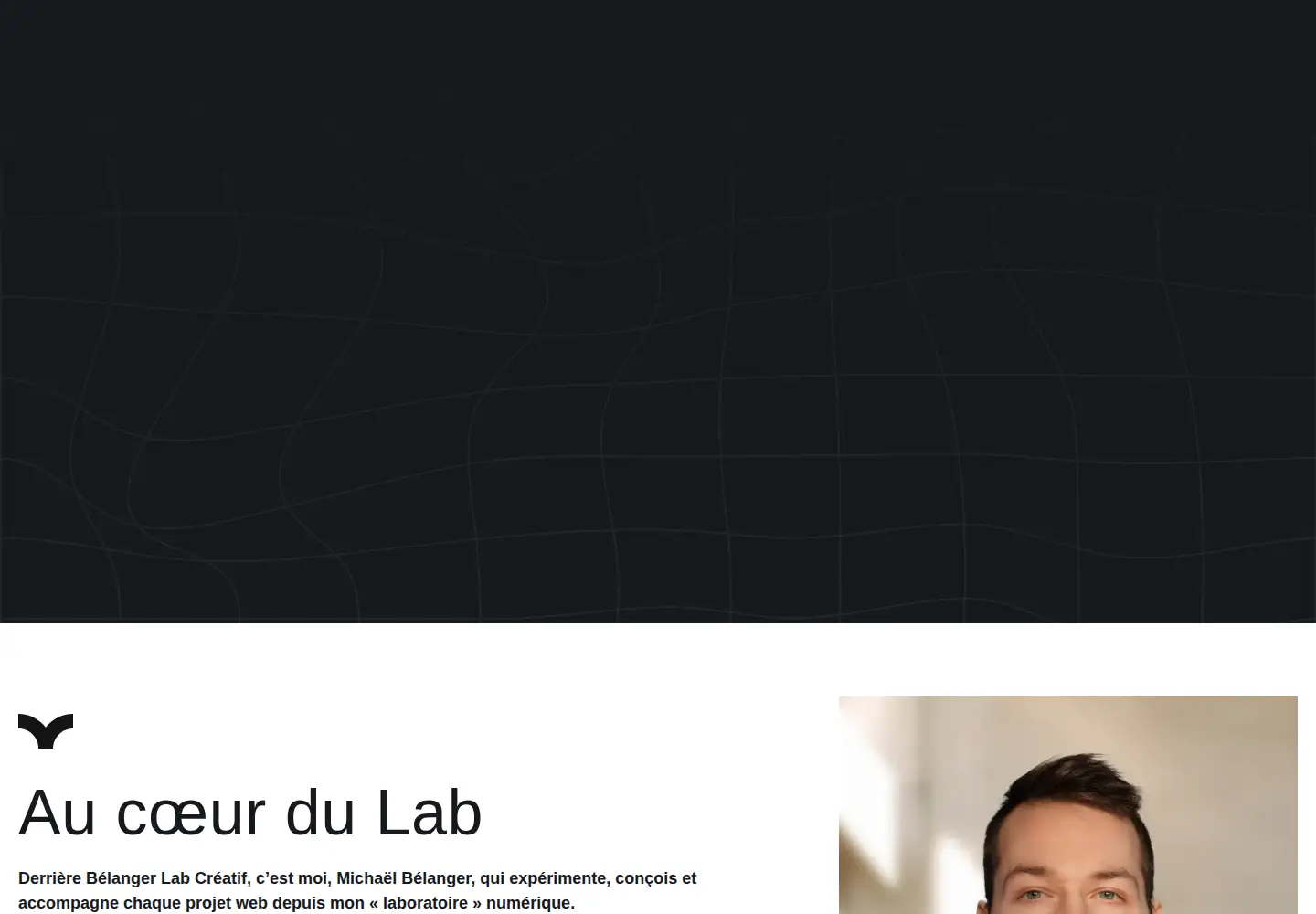 Screenshot of belangerlab.com