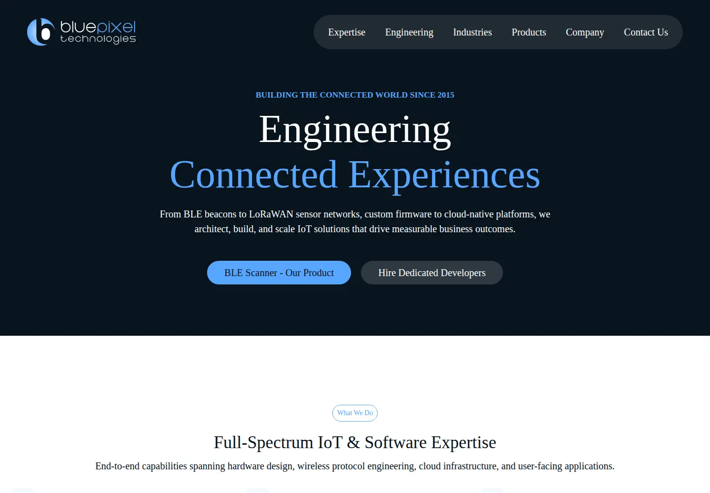 Captured homepage of bluepixeltech.com in the current scan