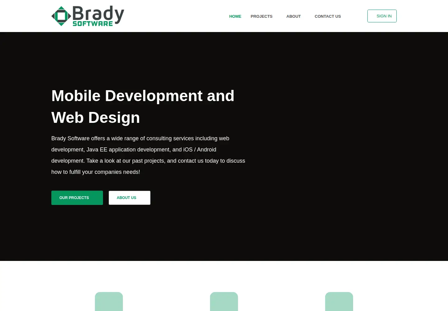 Captured homepage of brady-software.com in the current scan