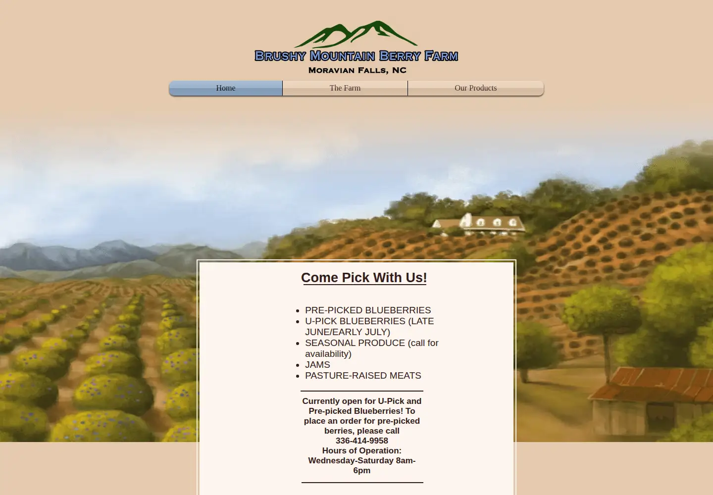 Screenshot of brushymountainberryfarm.com