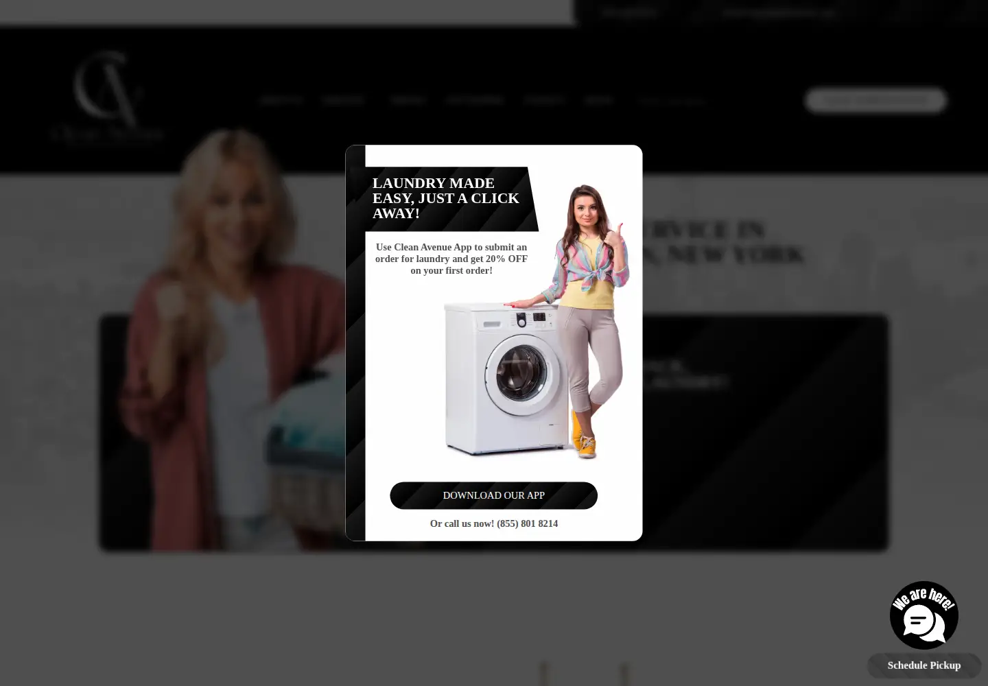 Screenshot of cleanavenuenyc.com