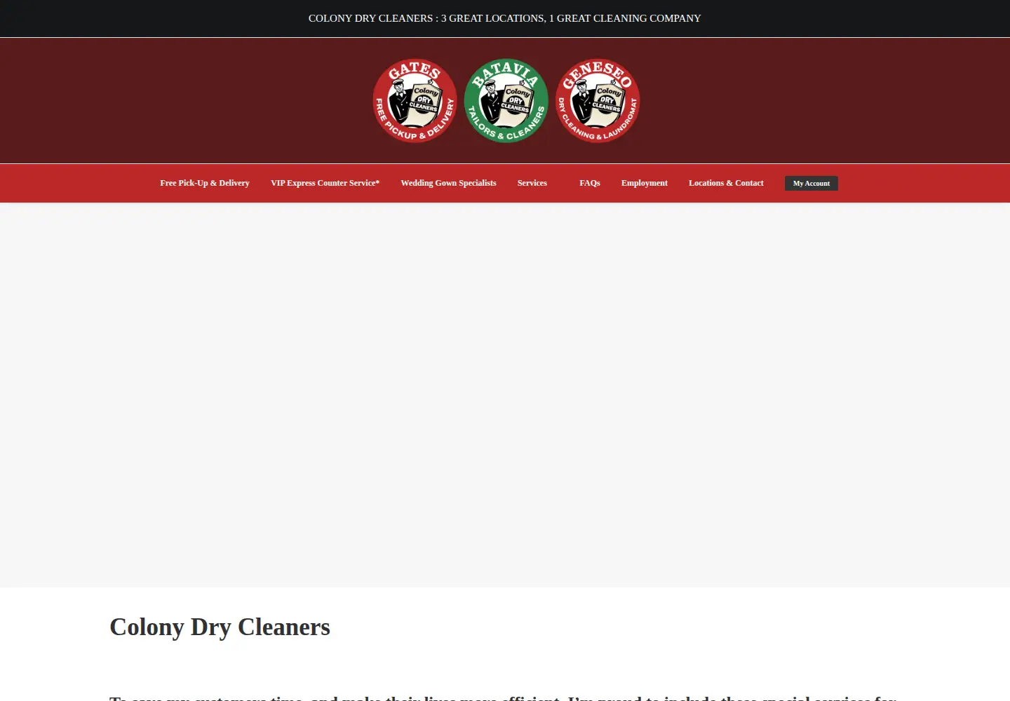 Captured homepage of colonydrycleaners.com in the current scan