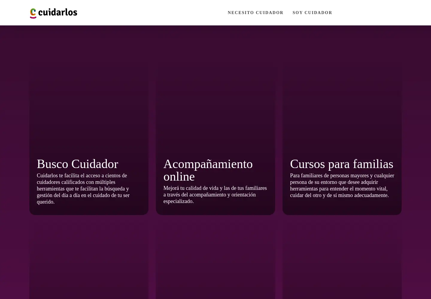 Captured homepage of cuidarlos.com in the current scan