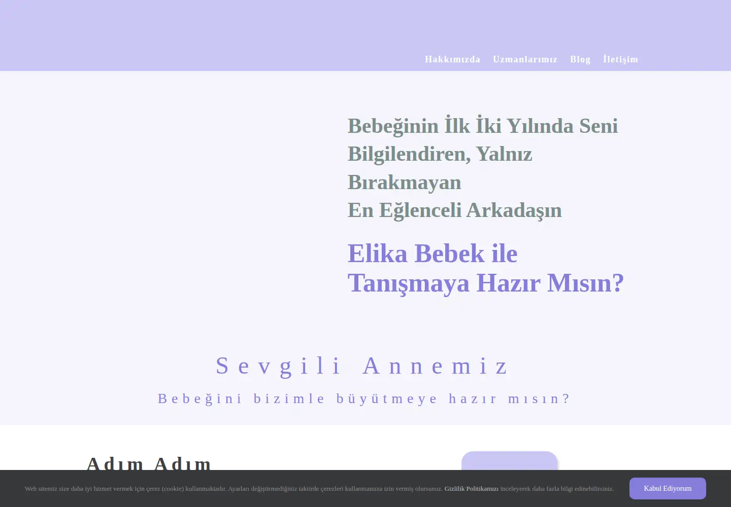 Captured homepage of elikabebek.com in the current scan