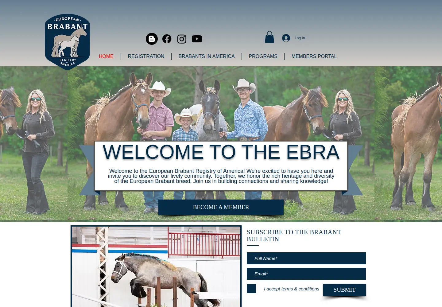 Screenshot of europeanbrabant.com