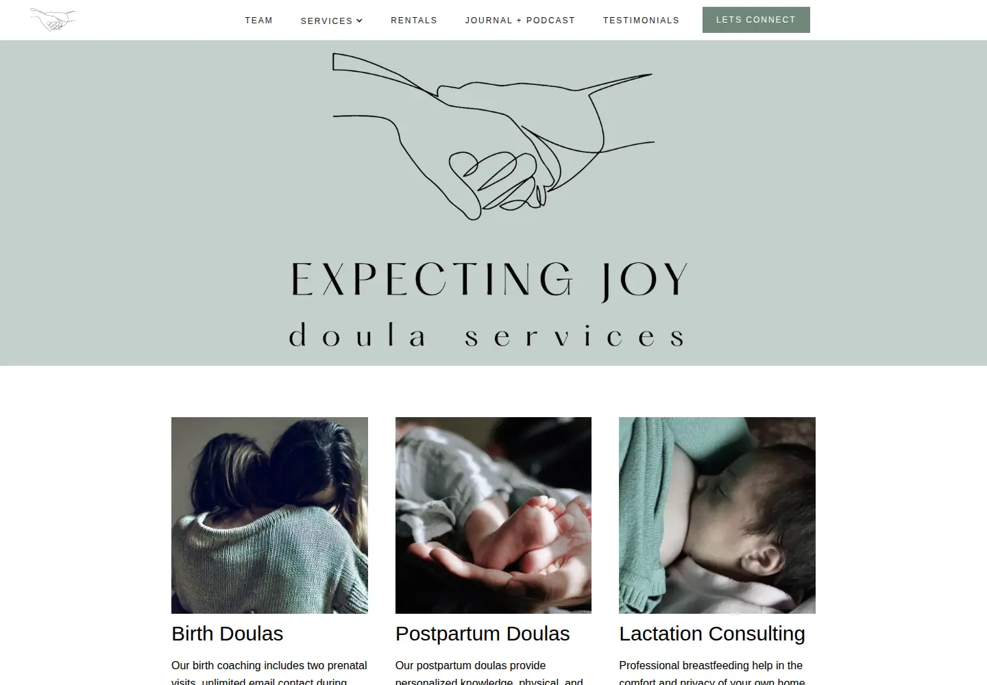 Captured homepage of expectingjoy.com in the current scan