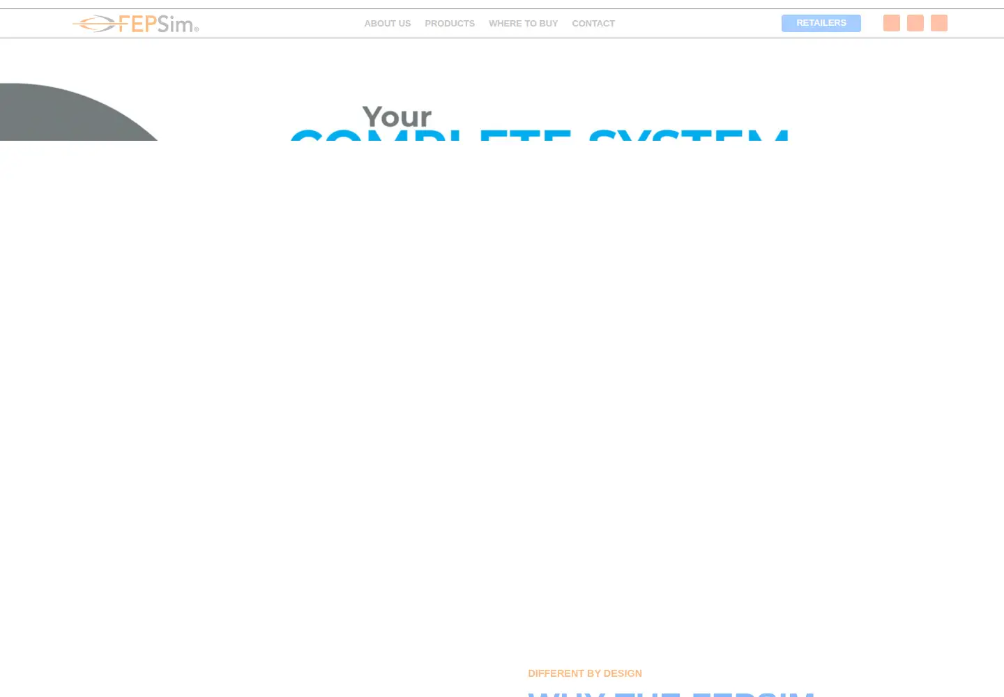 Captured homepage of fepsim.com in the current scan