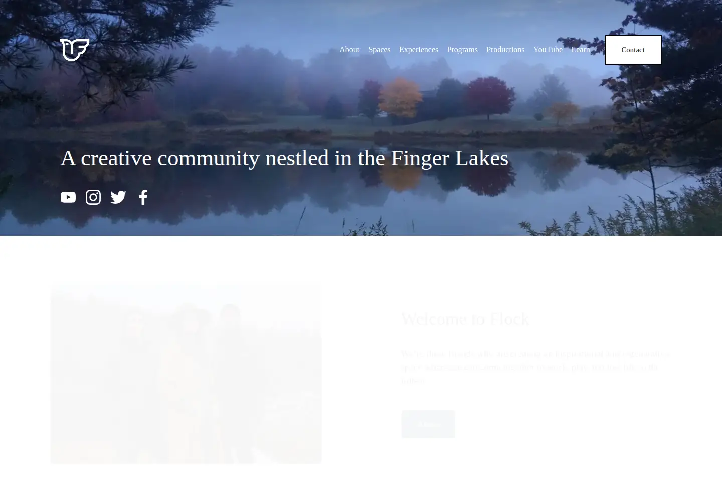 Captured homepage of flockfingerlakes.com in the current scan