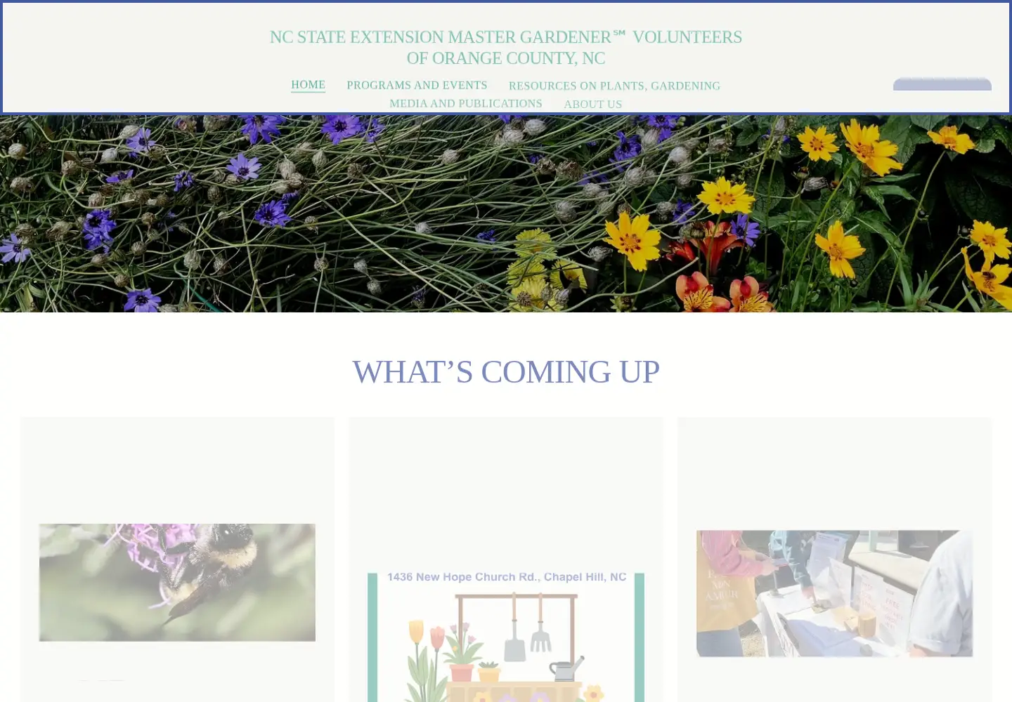 Captured homepage of theorangegardener.org in the current scan