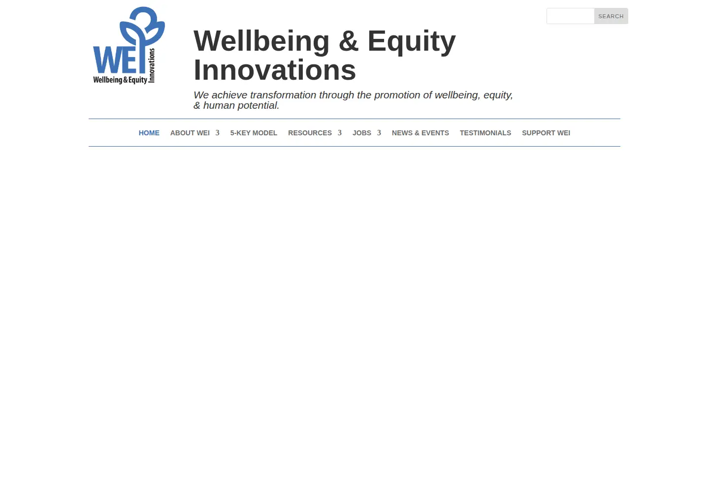 Screenshot of wellbeingandequity.org