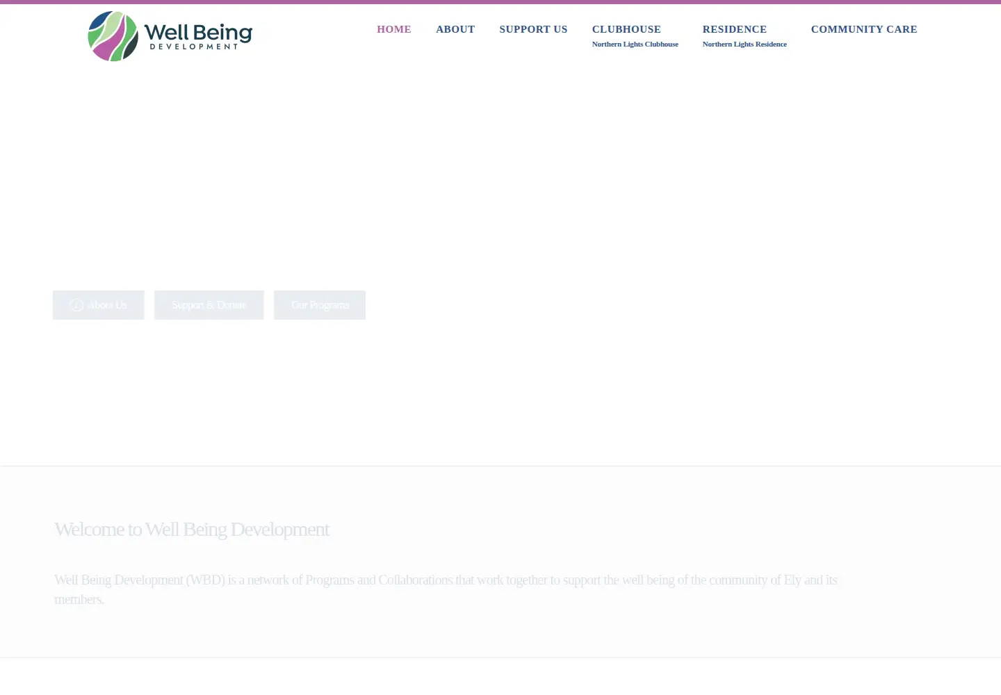 Screenshot of wellbeingdevelopment.org