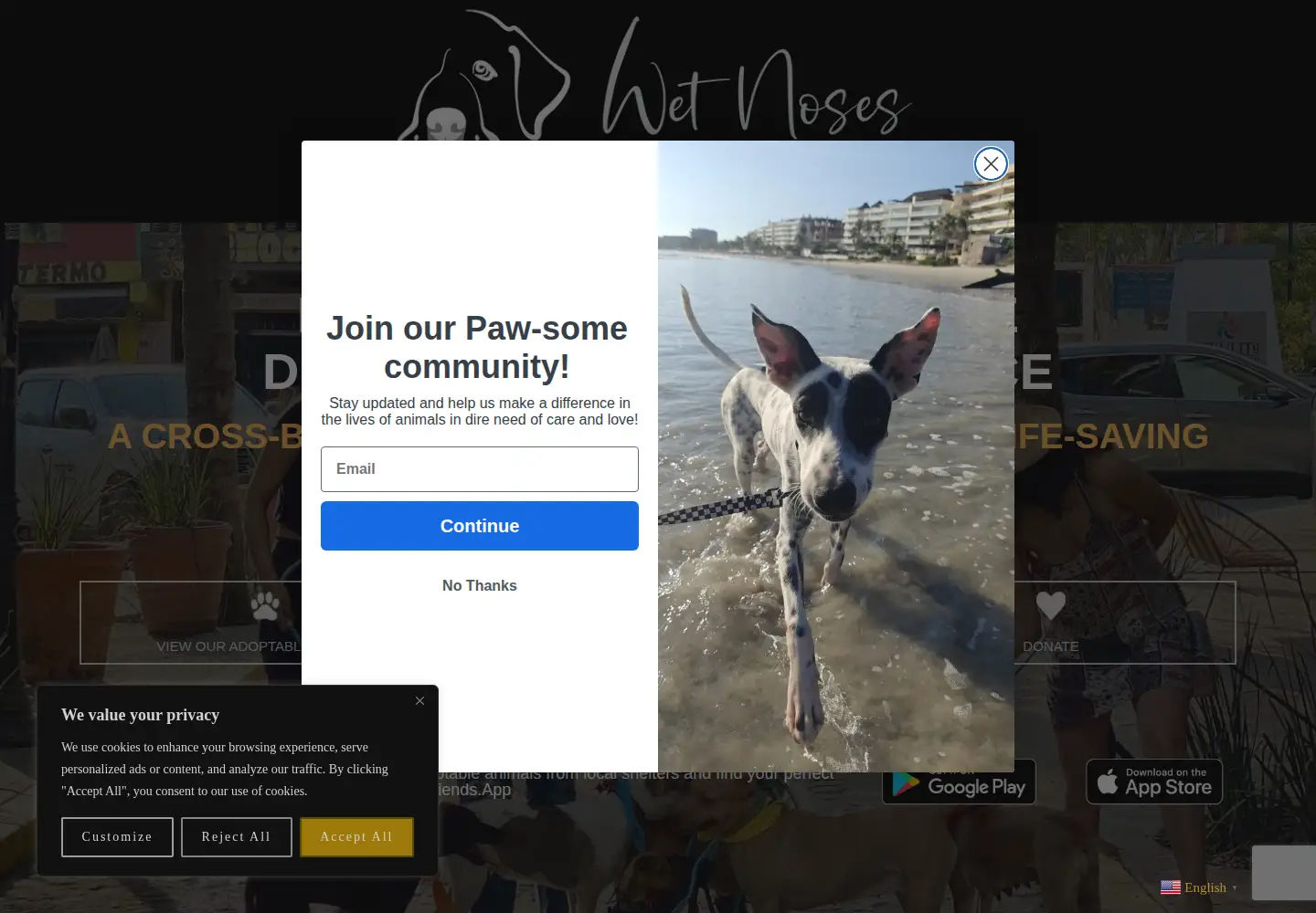 Screenshot of wetnosesrescue.org